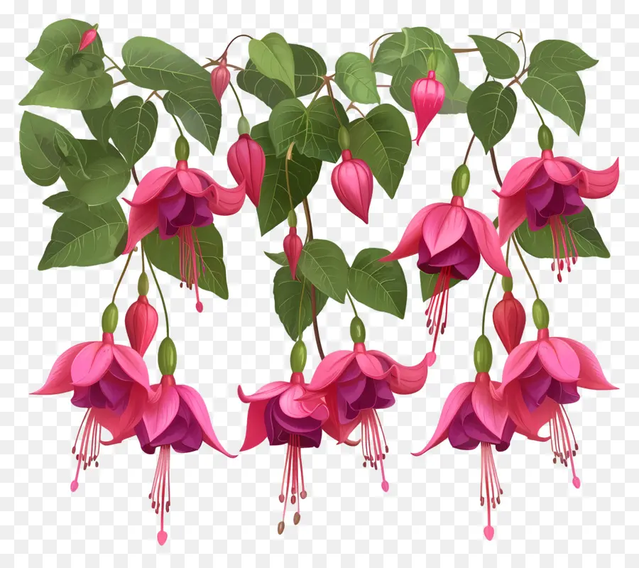 Fleurs Suspendues，Fleurs Roses PNG