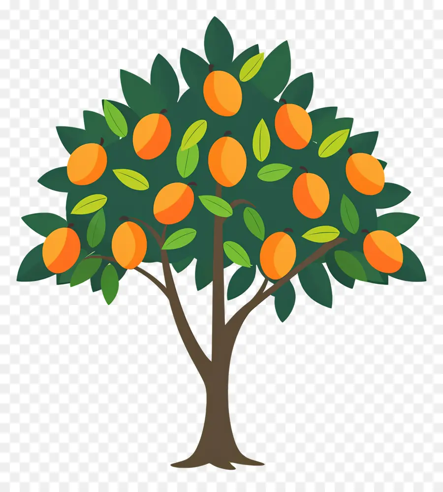 Manguier，Fruit PNG