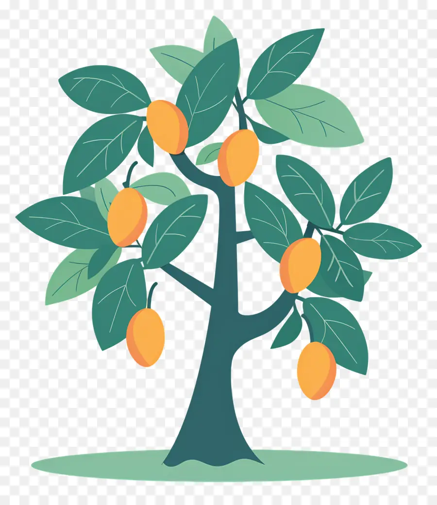 Manguier，Fruit PNG