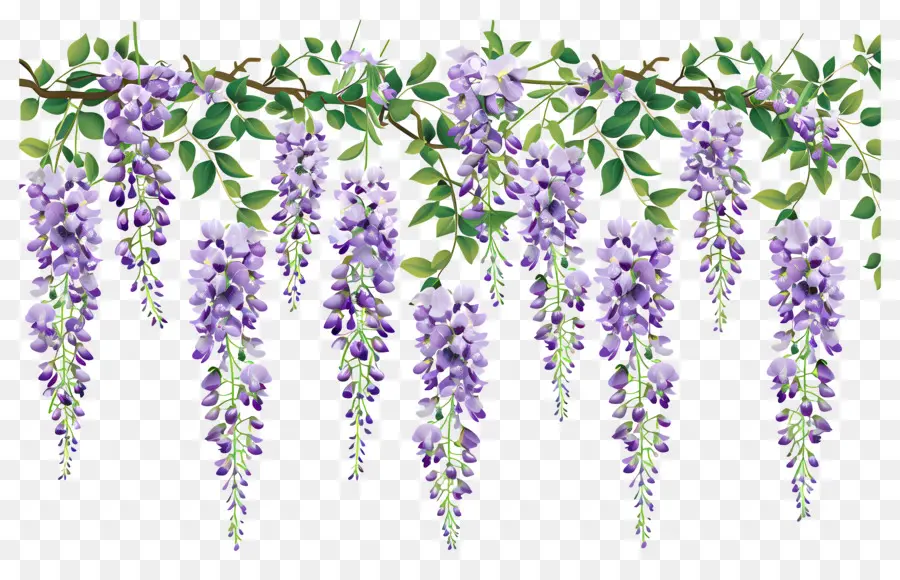 Fleurs Suspendues，Fleurs Violettes Suspendues PNG