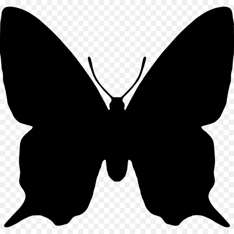 Silhouette De Papillon，Noir PNG