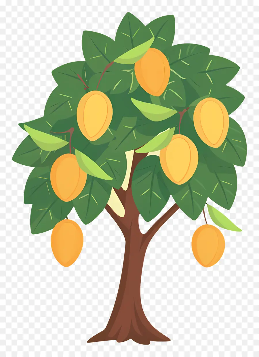 Manguier，Fruit PNG