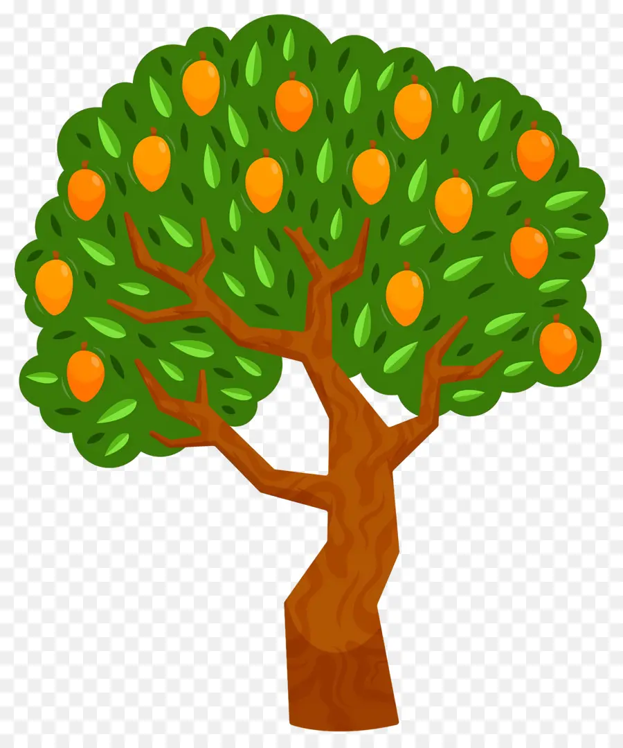 Manguier，Fruit PNG