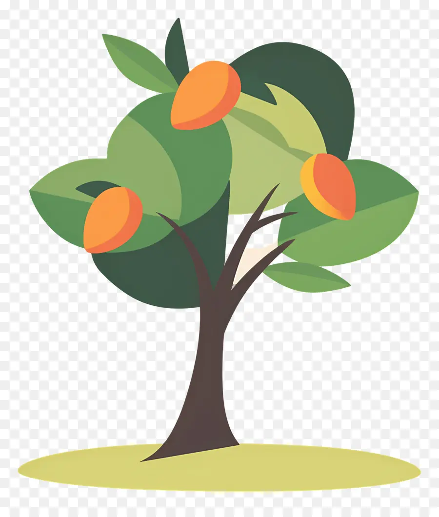 Manguier，Fruit PNG