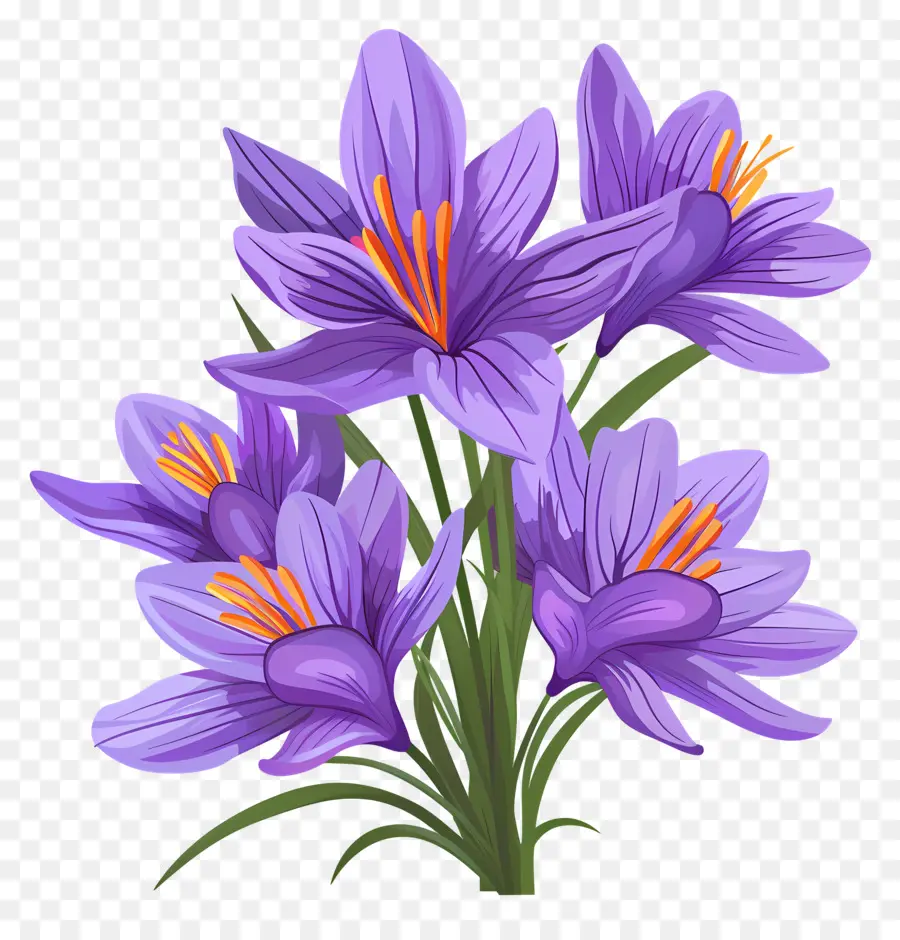 Fleurs De Safran，Fleurs Violettes PNG