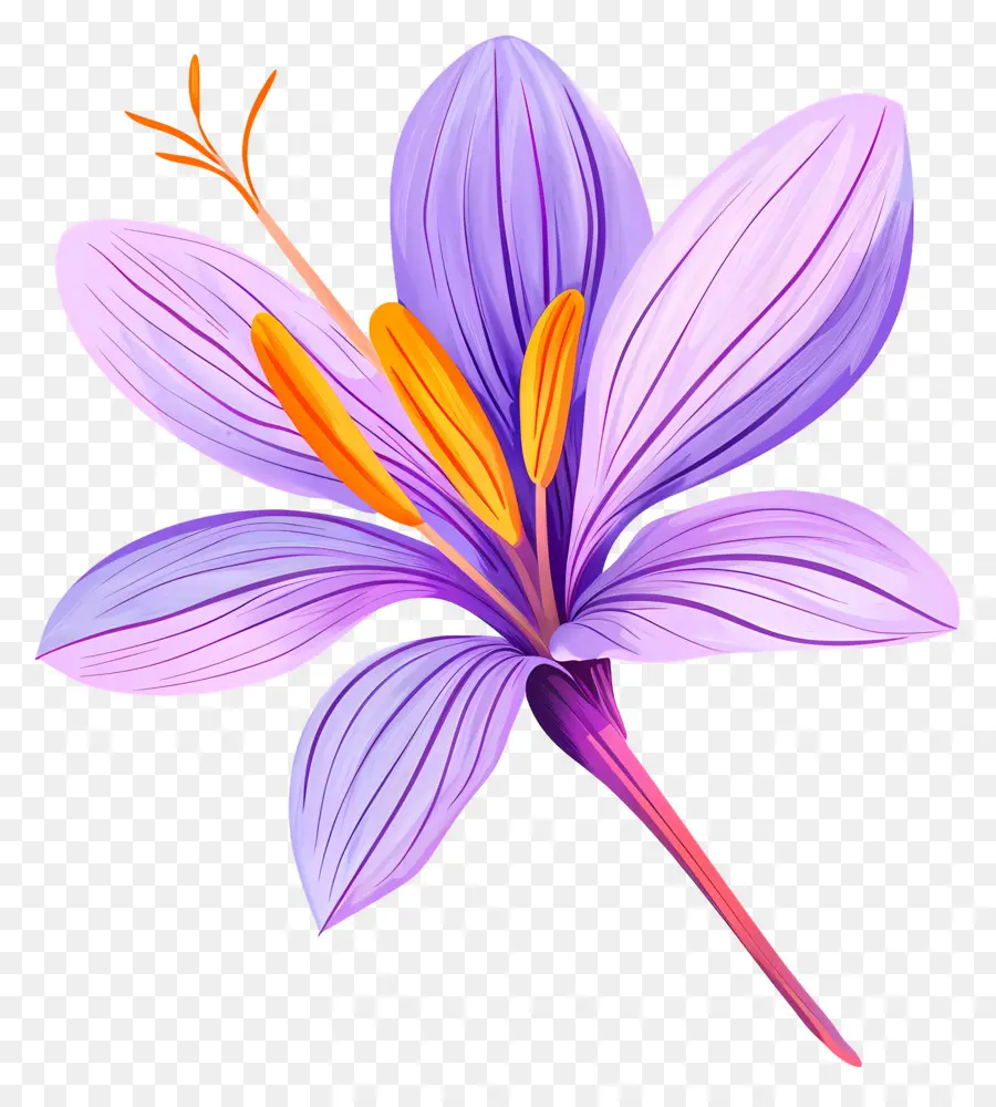 Fleur De Safran，Fleur Violette PNG