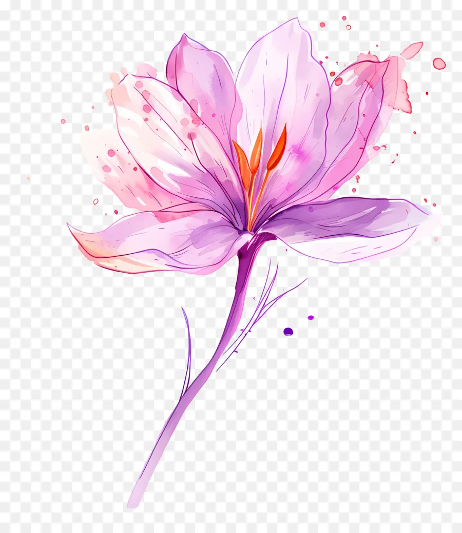 Fleur De Safran，Fleur Violette PNG