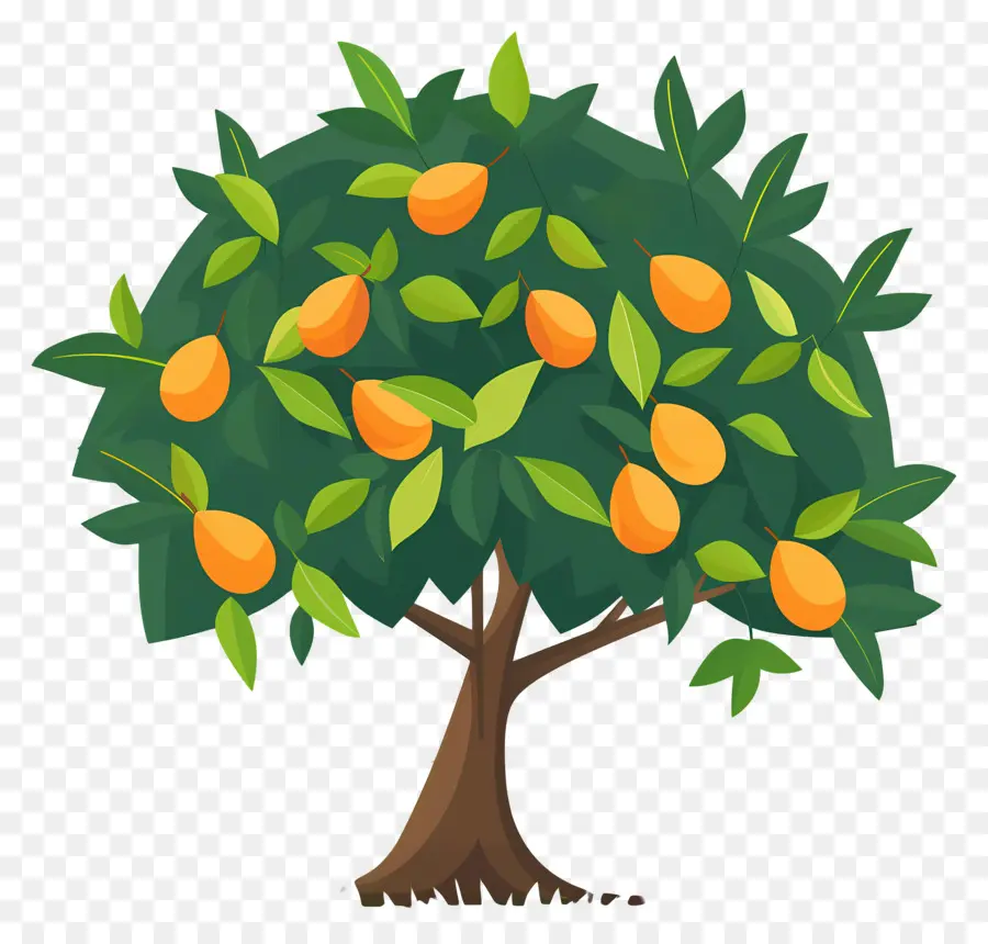 Manguier，Fruit PNG