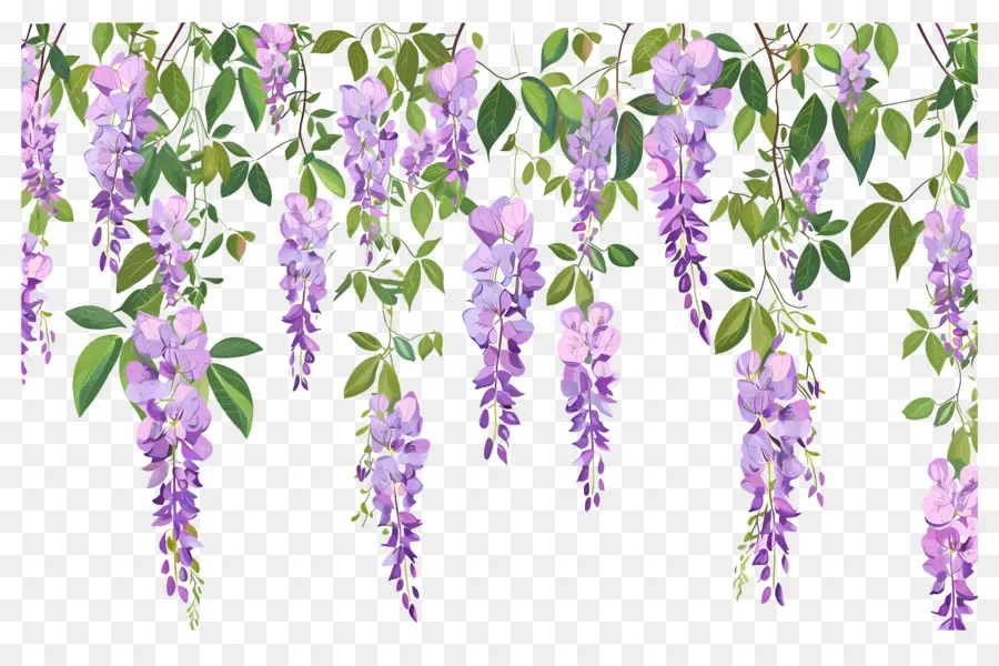 Fleurs Suspendues，Fleurs Violettes Suspendues PNG