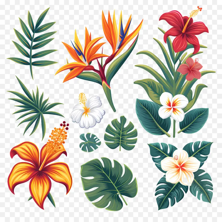 Fleurs Tropicales，Feuilles Et Fleurs Tropicales PNG