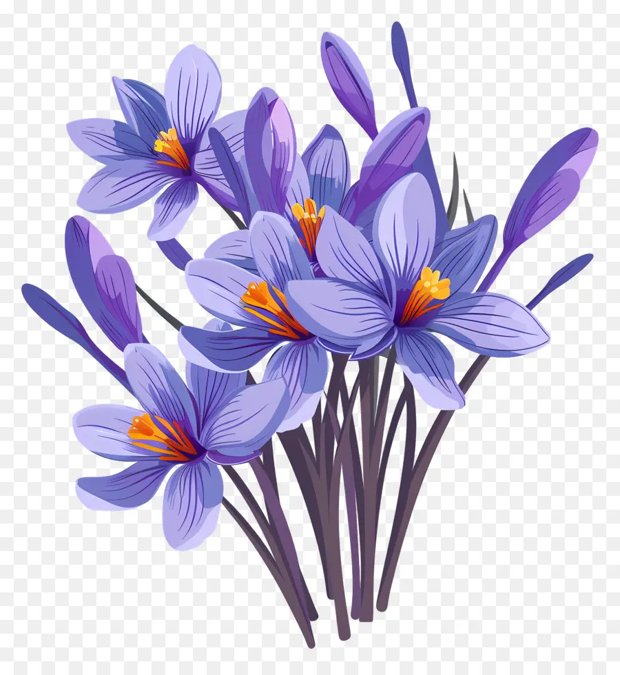 Fleurs De Safran，Fleurs Violettes PNG