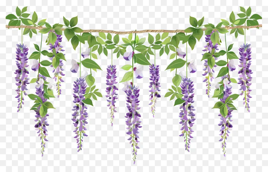 Fleurs Suspendues，Fleurs Violettes Suspendues PNG