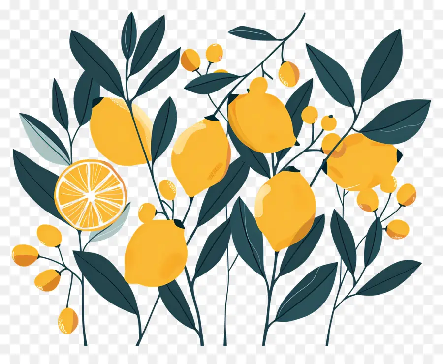 Citrons，Motif Citron PNG