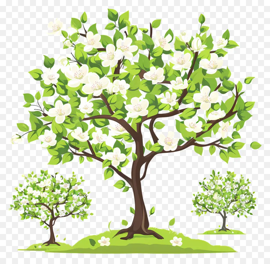 Arbre à Fleurs，Trois Arbres En Fleurs PNG