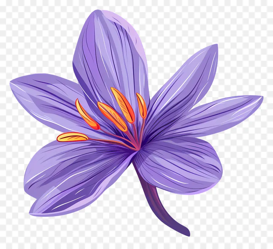 Fleur De Safran，Fleur Violette PNG