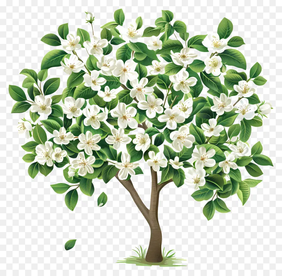 Arbre à Fleurs，Arbre En Fleurs PNG