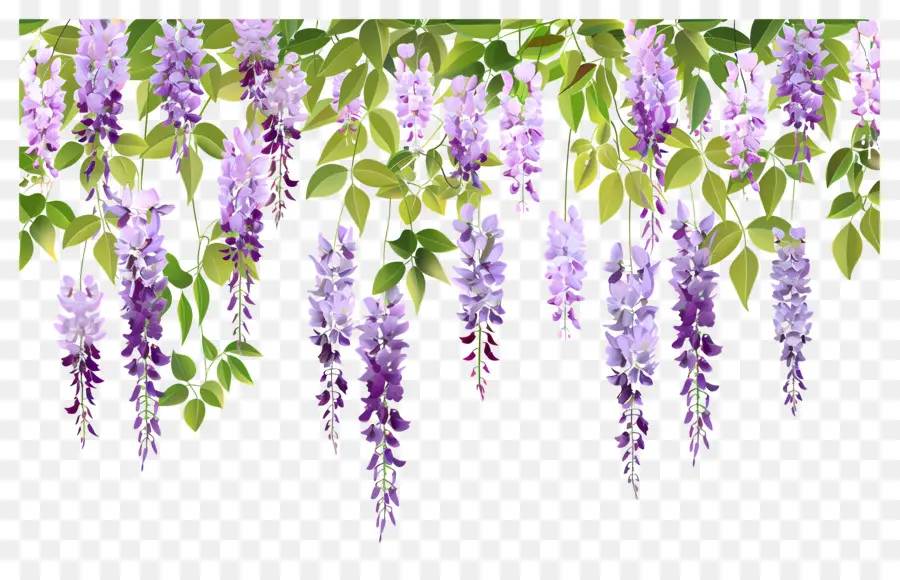 Fleurs Suspendues，Fleurs Violettes Suspendues PNG