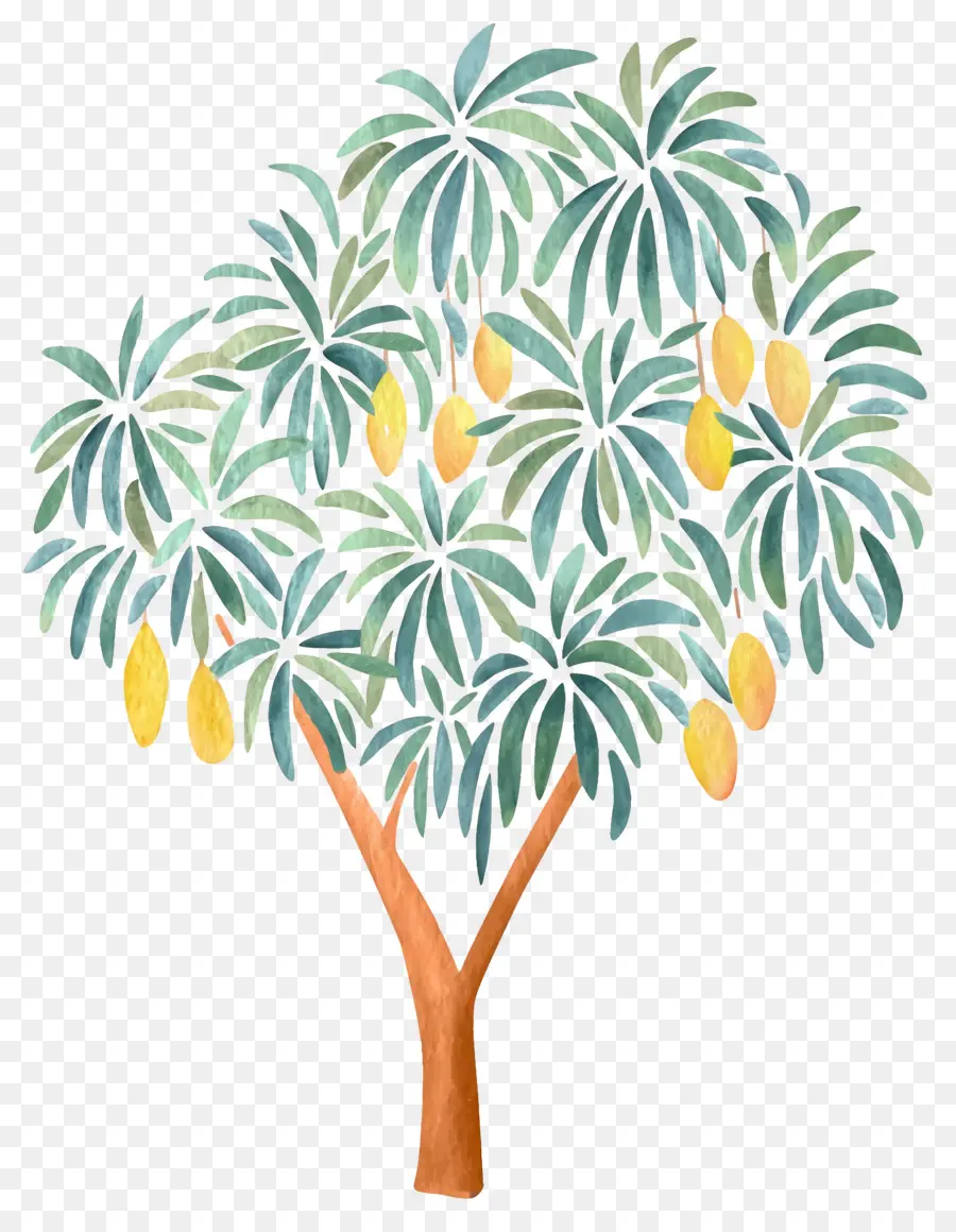 Manguier，Fruit PNG