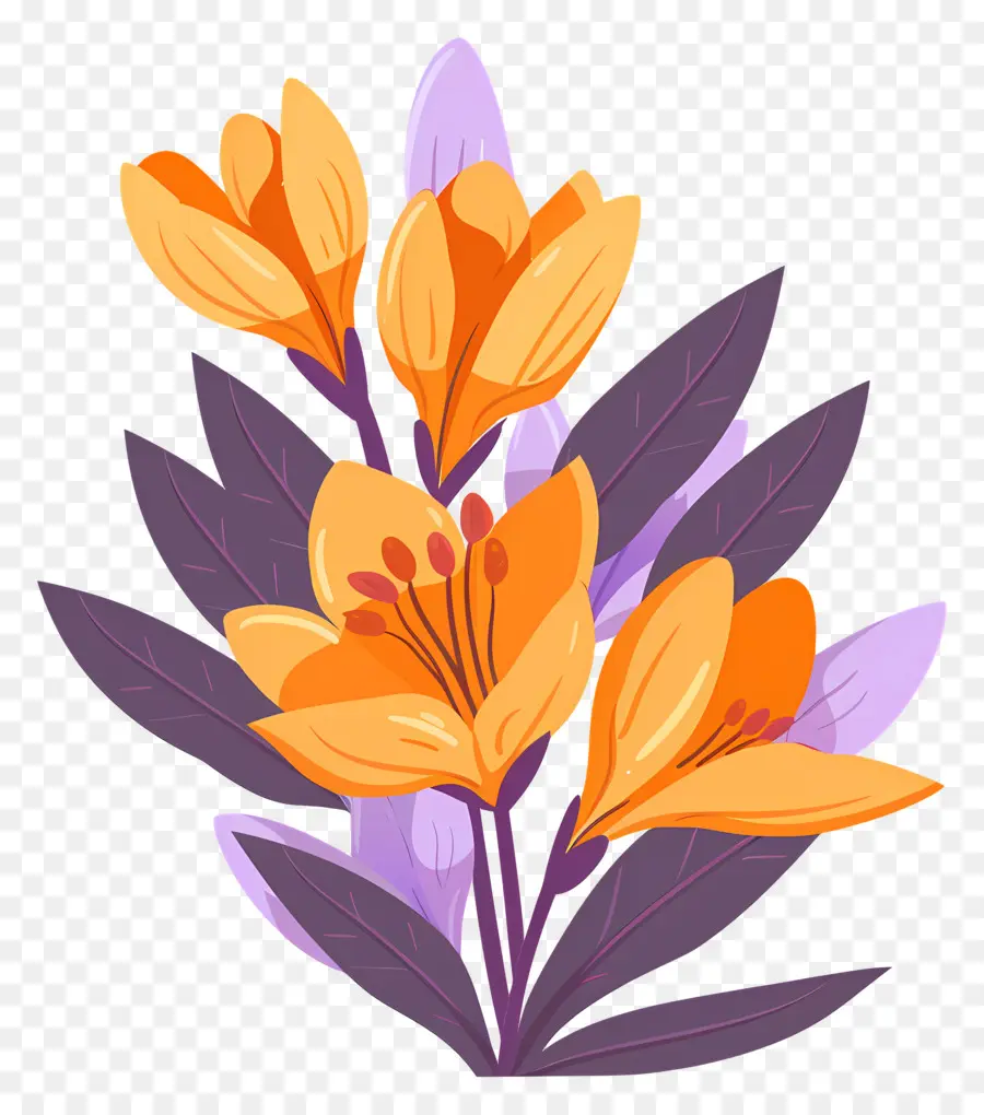 Fleurs De Safran，Fleurs Oranges PNG