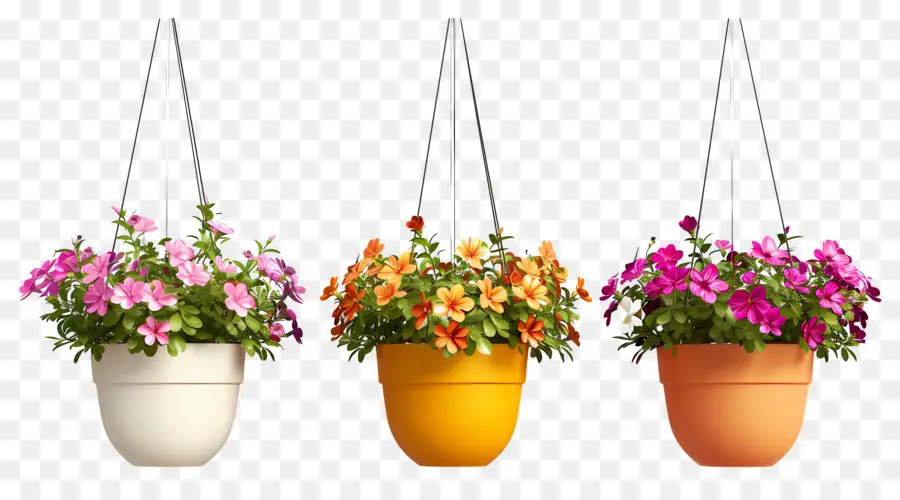 Fleurs Suspendues，Pots De Fleurs Suspendus PNG