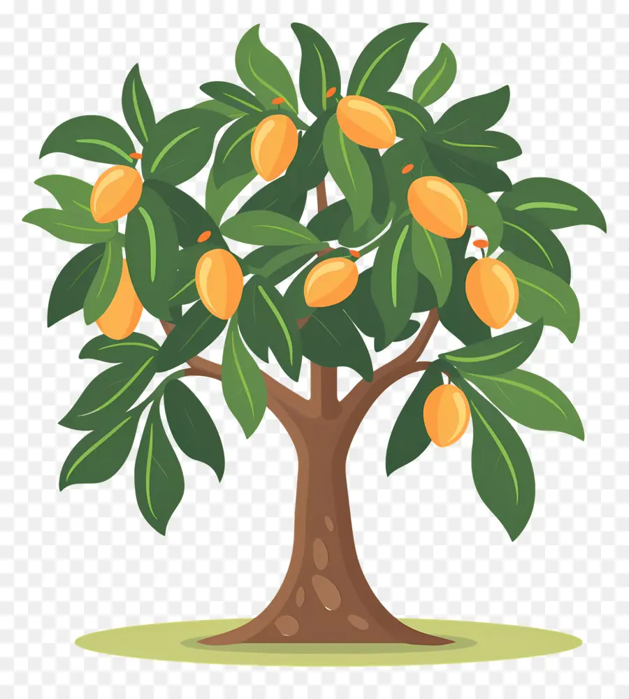 Manguier，Fruit PNG