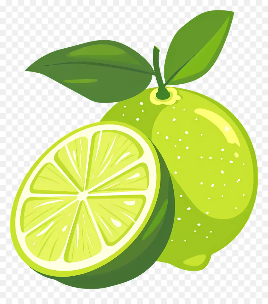 Citron Vert，Tranche De Citron Vert PNG