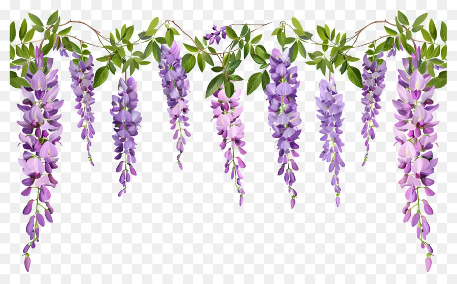 Fleurs Suspendues，Fleurs Violettes Suspendues PNG