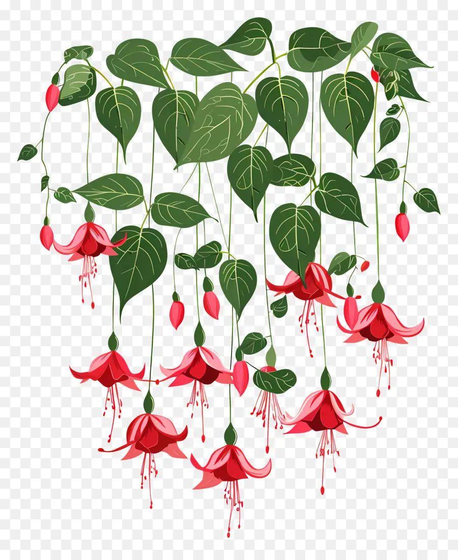 Fleurs Suspendues，Fleurs Rouges Suspendues PNG