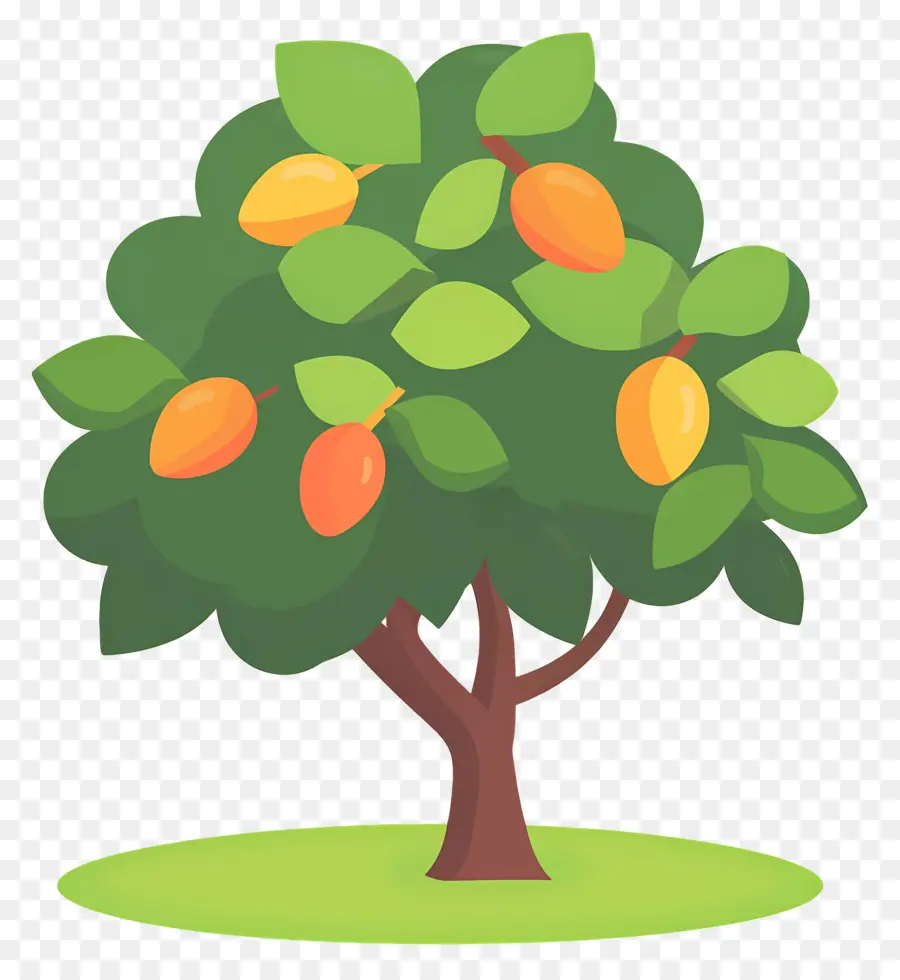 Manguier，Fruit PNG