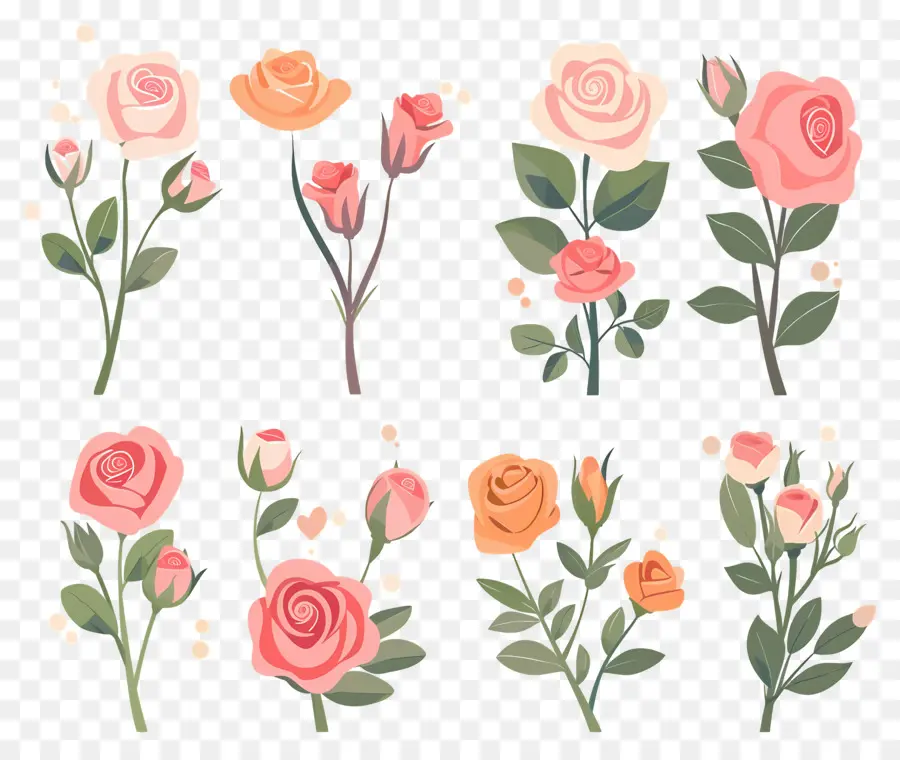 Fleur Rose，Tiges De Roses PNG