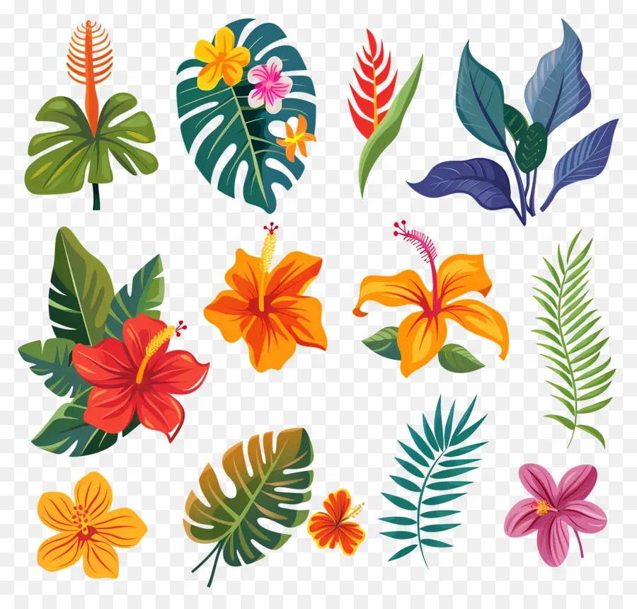 Fleurs Tropicales，Feuilles Et Fleurs Tropicales PNG