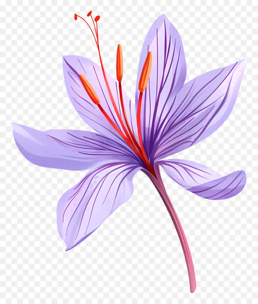 Fleur De Safran，Fleur Violette PNG