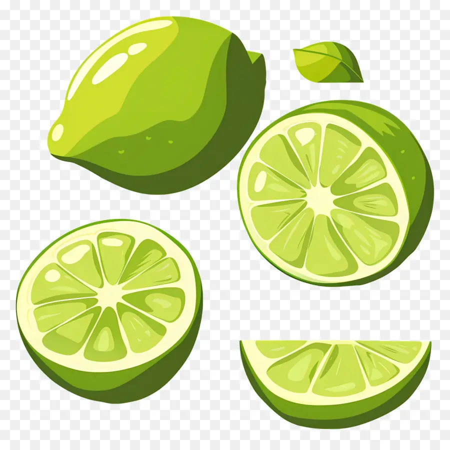 Citron Vert，Tranche De Citron Vert PNG