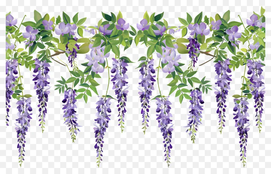 Fleurs Suspendues，Fleurs Violettes Suspendues PNG