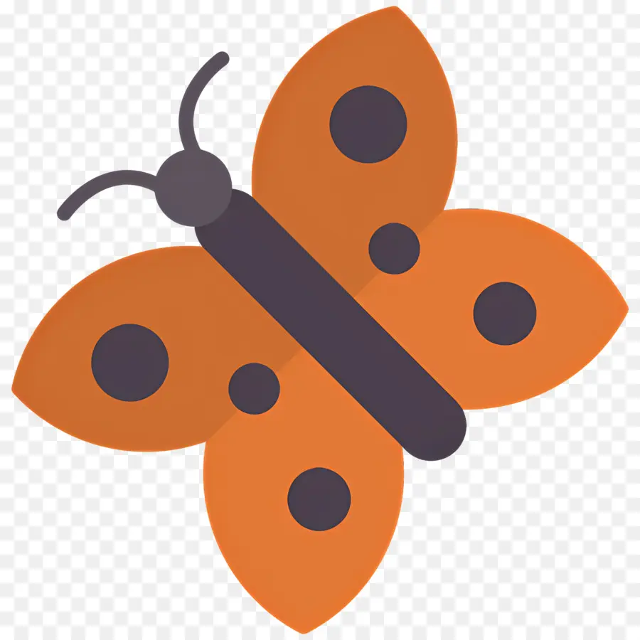 Papillon Volant，Papillon Orange PNG