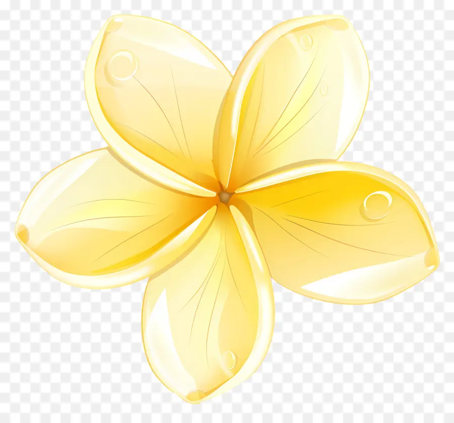 Fleur De Pluméria，Fleur Jaune PNG