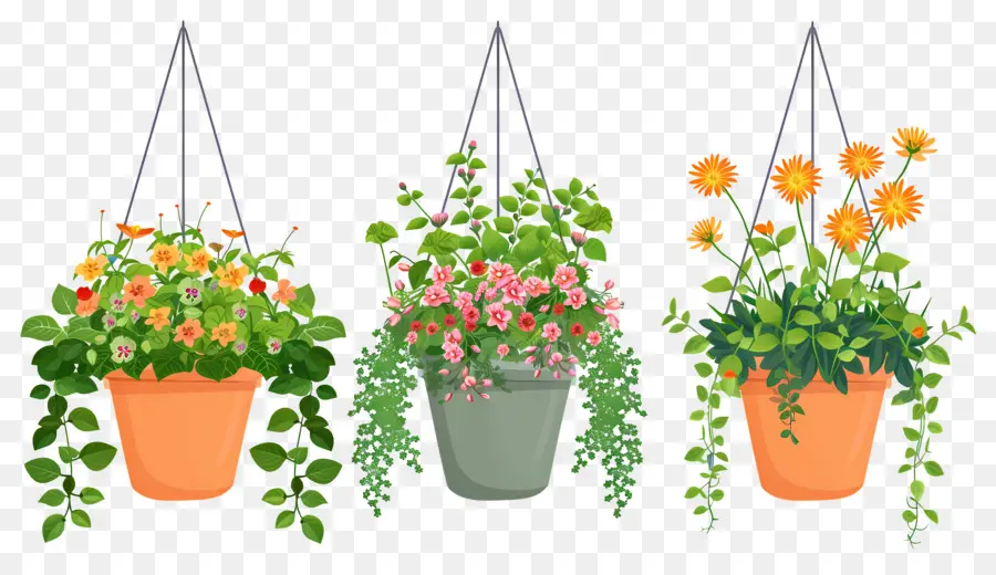 Fleurs Suspendues，Pots De Fleurs Suspendus PNG