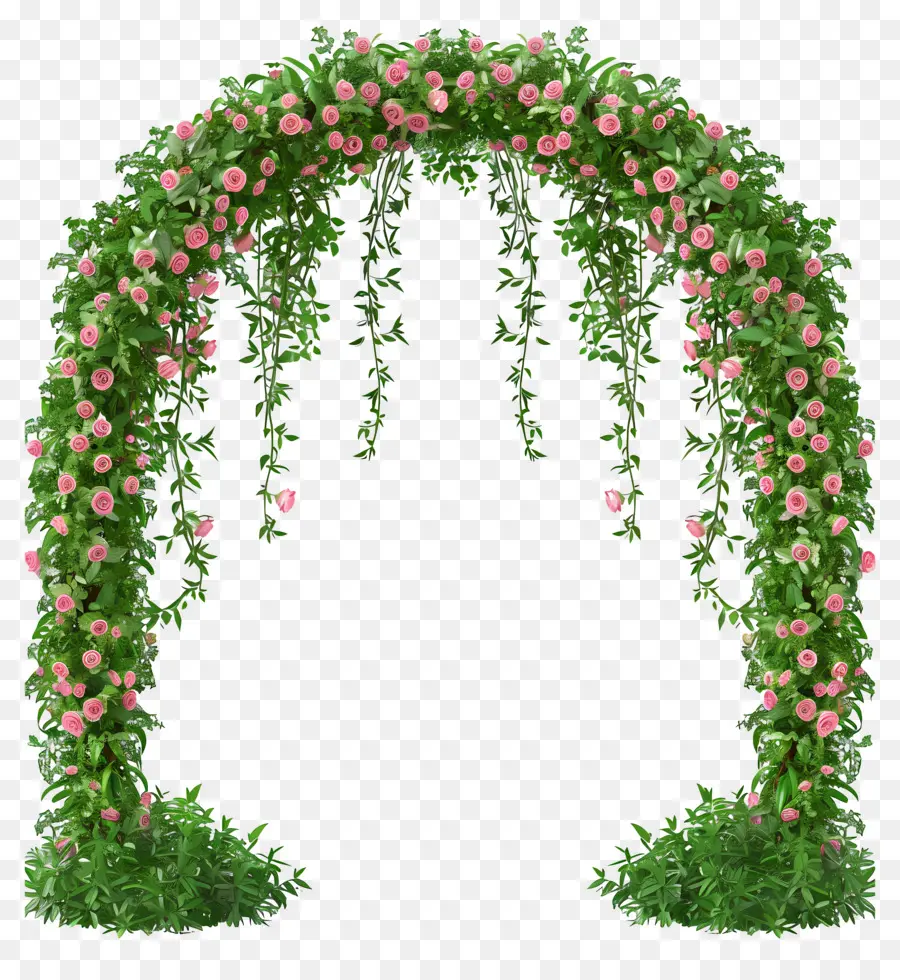 Arcade Florale，Arche De Roses Roses PNG