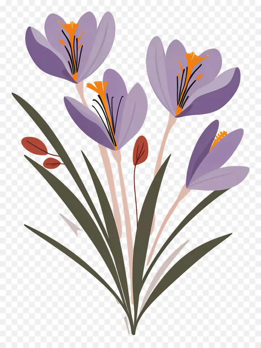 Fleurs De Safran，Fleurs Violettes PNG