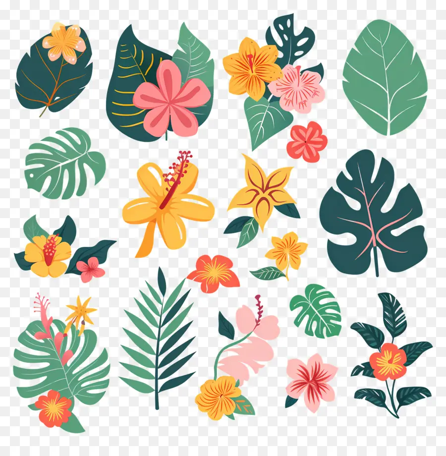 Fleurs Tropicales，Feuilles Et Fleurs Tropicales PNG