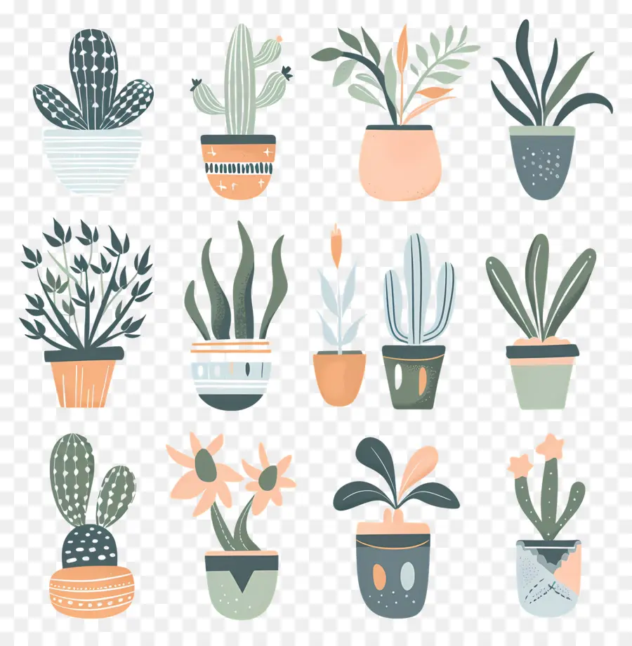 Fleurs En Pots，Plantes En Pot PNG