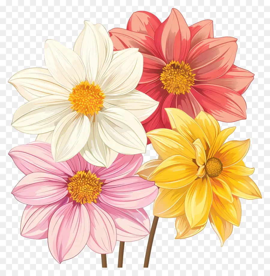 Fleur De Dahlia，Fleurs Colorées PNG