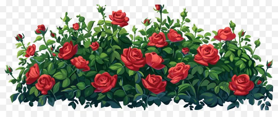 Rosier，Roses Rouges PNG