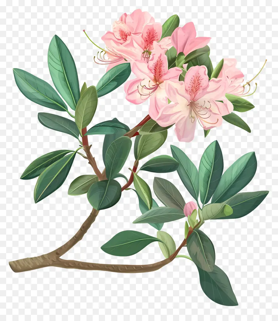 Fleurs Anciennes，Fleurs Lilas Roses PNG