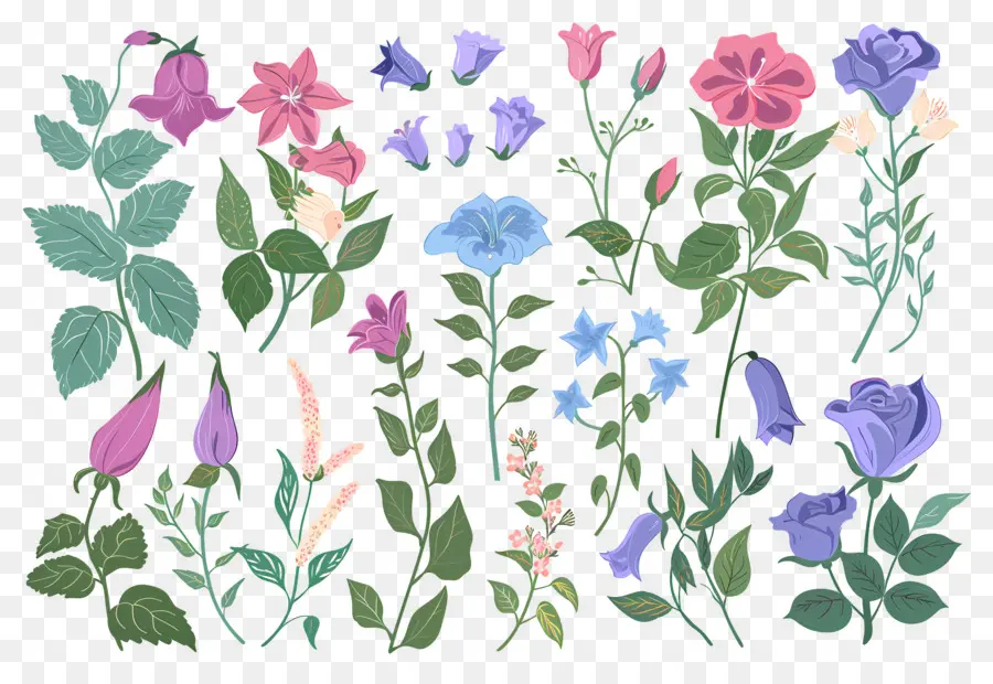 Fleurs Lumineuses，Collection Florale PNG