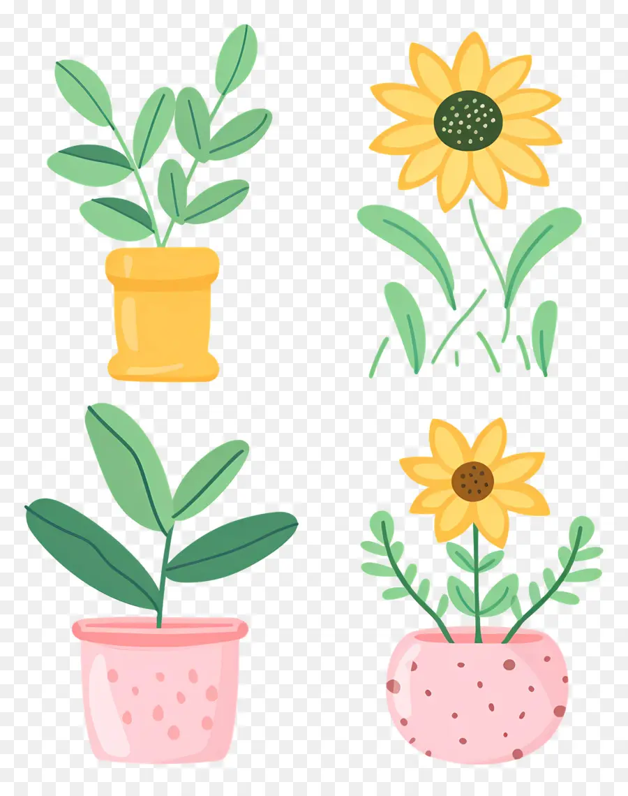 Plantes En Pot，Pots De Tournesol PNG