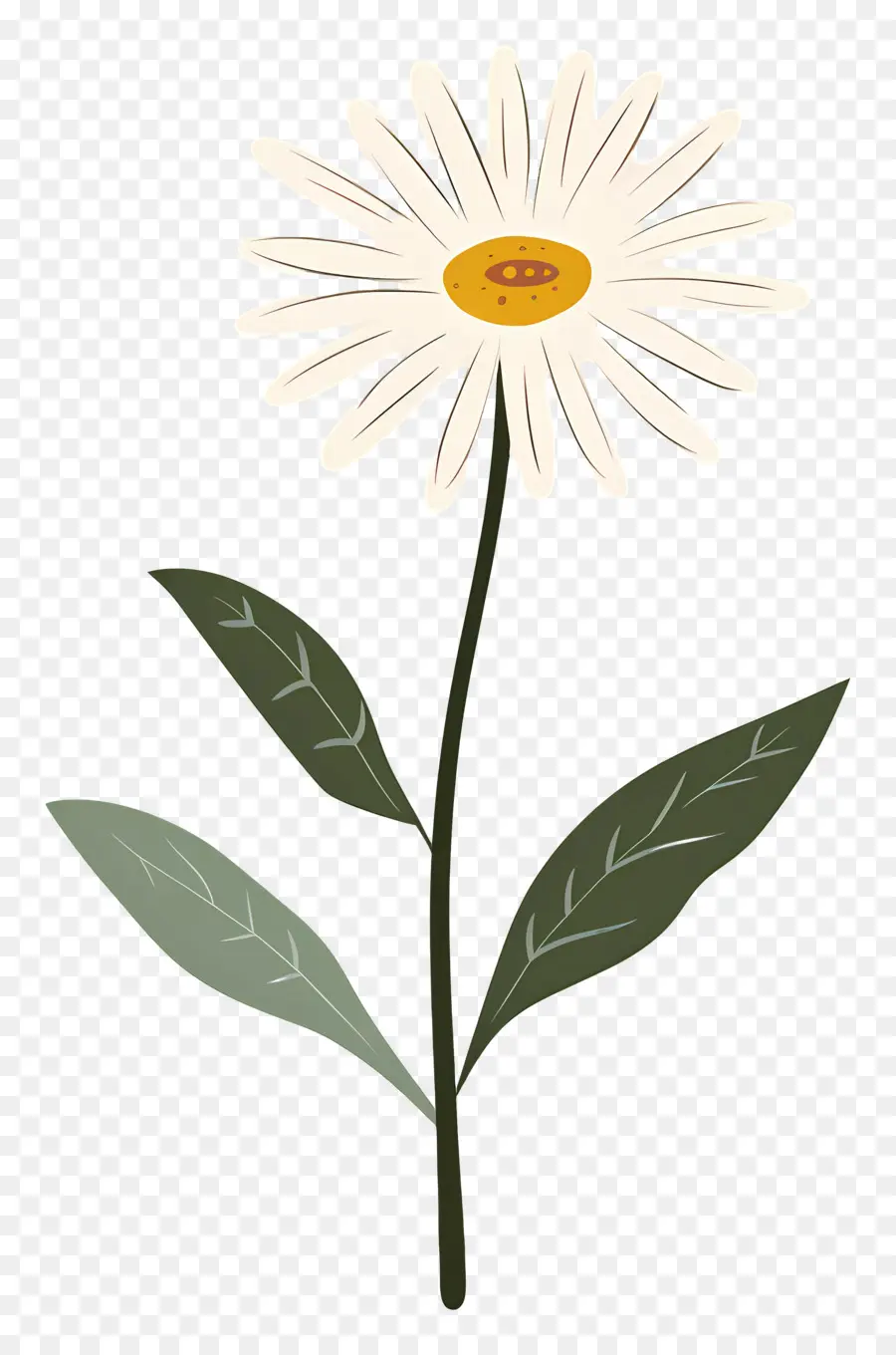 Fleur De Marguerite，Marguerite PNG