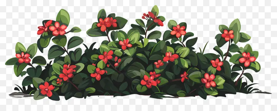 Buisson De Fleurs，Fleurs Rouges PNG