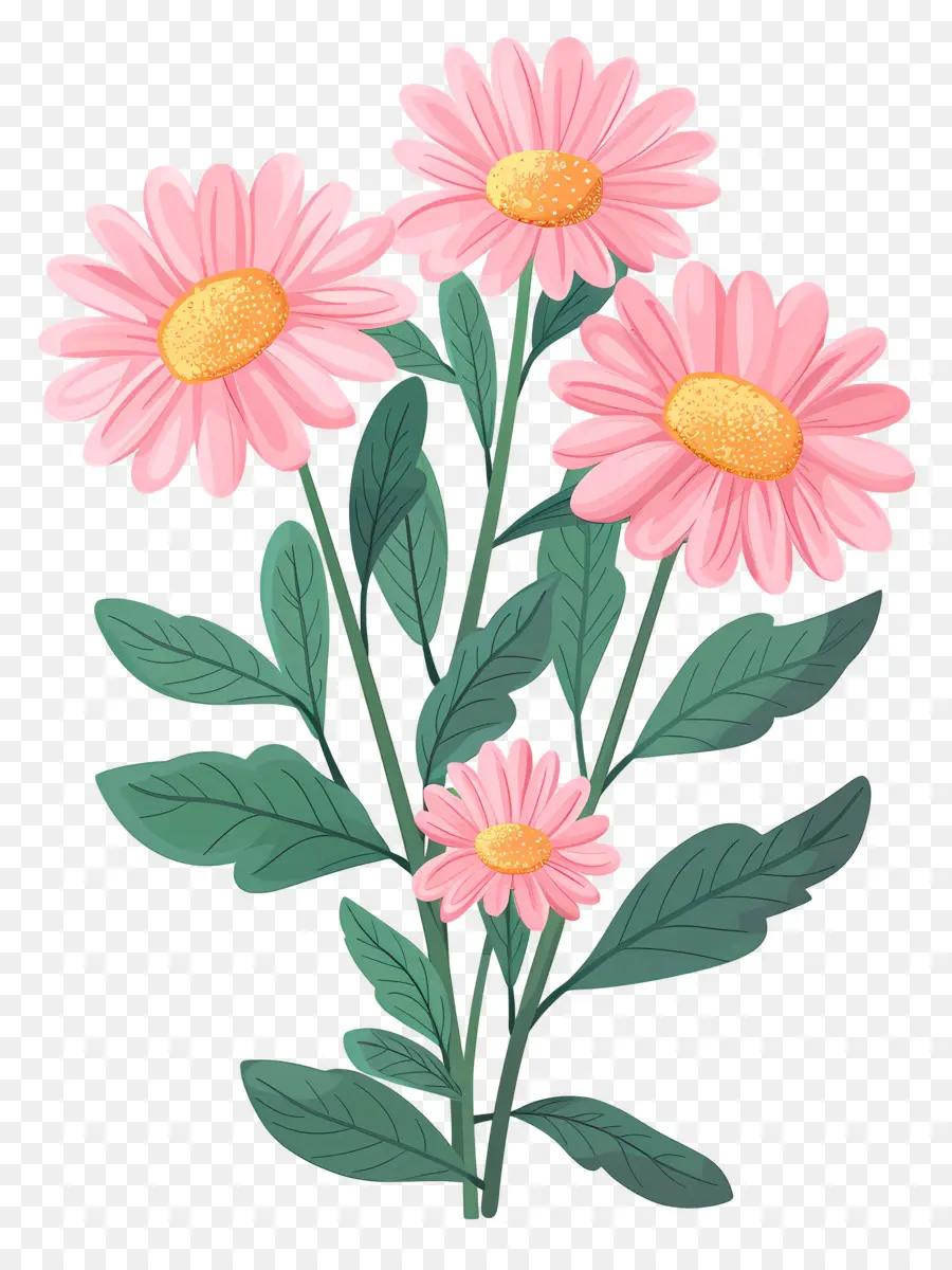 Fleurs De Marguerite，Fleurs Roses PNG