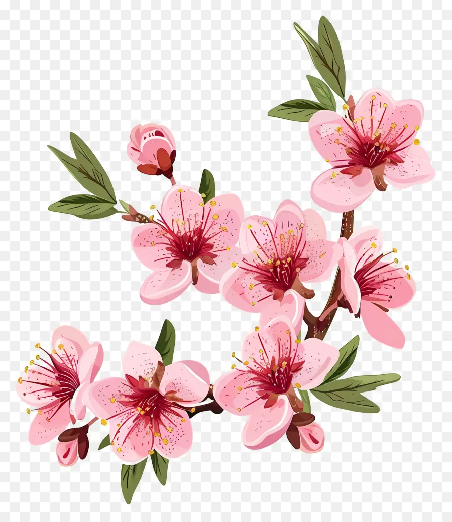 Fleur De Cerisier，Fleurs De Cerisier PNG